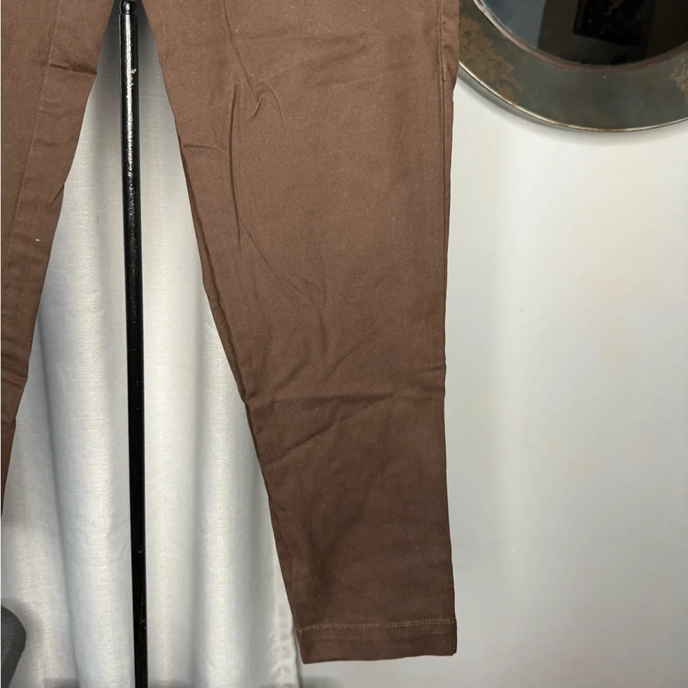 Banana Republic Dark Brown Chinos - Picture 2 of 9